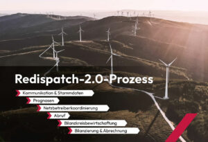 Redispatch 2.0: Zwanzig neue Kunden auf einen Schlag