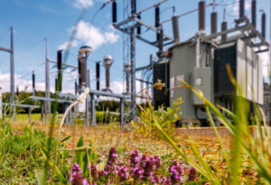 Klima-Check: EnBW wappnet ihre Infrastruktur gegen künftige Extremwetter